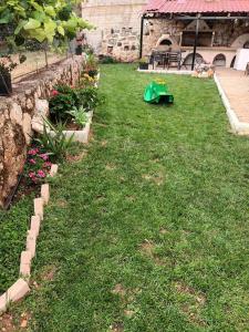 viber_image_2025-05-13_21-55-49-863